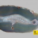 �л�������Ʒ�ഫ��