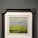 ������ѫ��ʯ����Ͽʯ����