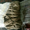 ��Ȼ���̲����ʯ�����洺�硷