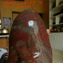 ƮѪ��Ѫ����ۡ����˵�ͷ��