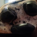 �ɰ�����èʯ