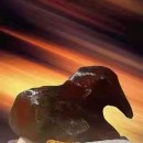 ϲ������