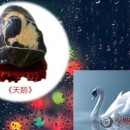 ����졷�ͼ� ����