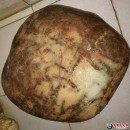 �໨ԭʯ43kg��