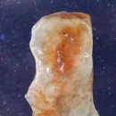 �شɡ�����ֵ��