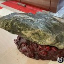 ���л���һ󸡷������ԭʯ