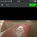 ƮѪ��Ѫţ�Ƕ�����ۡ��������ࡷ