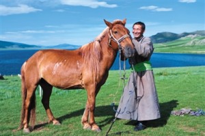 ��������ʯ��ʰ��֮��