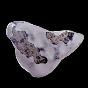 ������ʯ���ֺ����� ͼ������������������