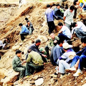 ��������ʯ�����Ž���ֹ ��벢���������