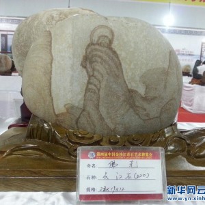 ʯ���ᾫƷ��ʯ��ѡ����56ö��ʯ��