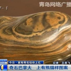 �ൺ���񺣱߼���ƴ���ʯ ����"��è"