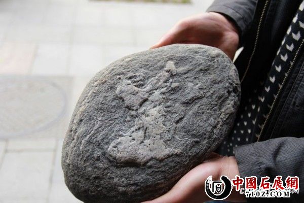 �����̲����ʯ ϸ�����С�������ͼ��