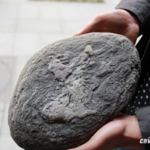 �����̲����ʯ ϸ�����С�������ͼ��