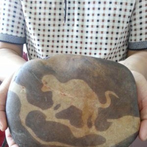 ��顰��ʯ����ֵ1000��