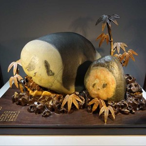 ��ʯ��������è���״������人