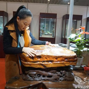 �人�й���ʯЭ�ḱ�᳤���磺��ʯ�硰��ľ����