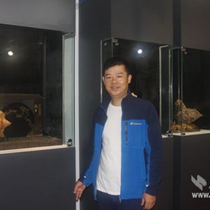 ���Σ���ʯȦ�����С����