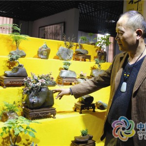 �Ż�����ʯ����"����" "����ƫ��"����»���