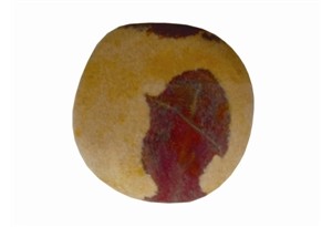 �껨ʯ�������˽�������