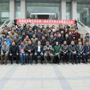 ����ף�ذ���ʡ���ʯЭ�������