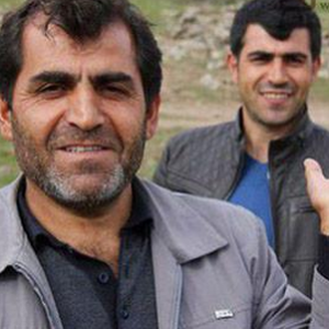 ������ʯֵһ�ڣ����������ڳ���ʯͷ��ֵǧ��