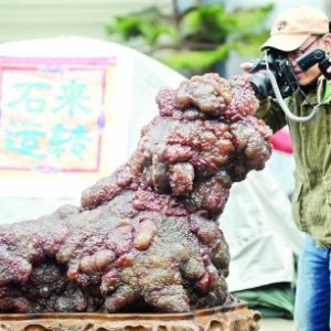 �׽���ʯ�鱦�����Ὺչ ʨ����ʯ���۰���