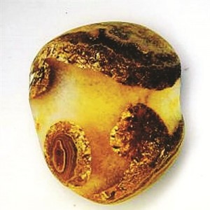 ����ż�ú�ɽ������ʯ