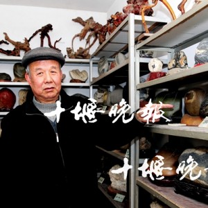 ��ʯ�ա�������Ϊ��ʯ��Ը���