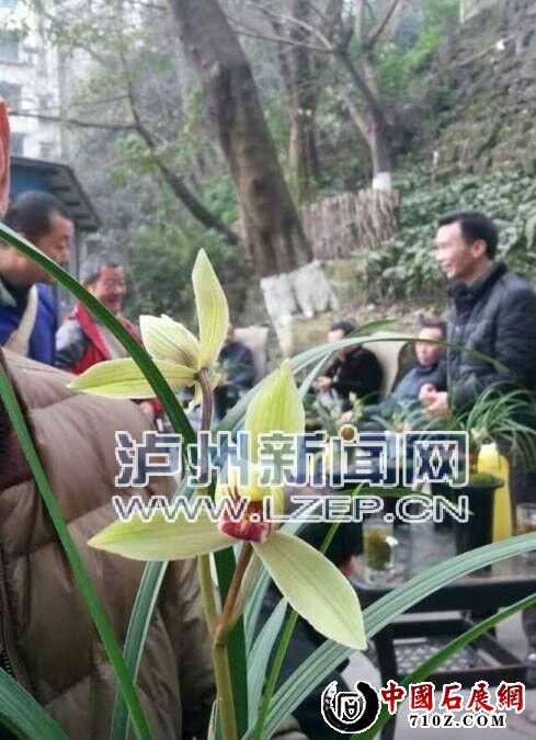 QQͼƬ20160307102841