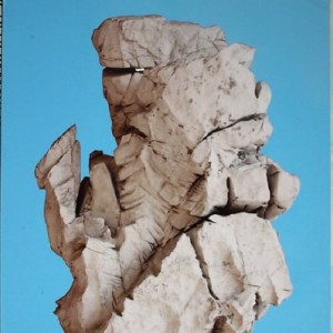 �����ʯ ������԰