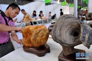 ��ʯ�ղ��ż��� δ��ǰ������