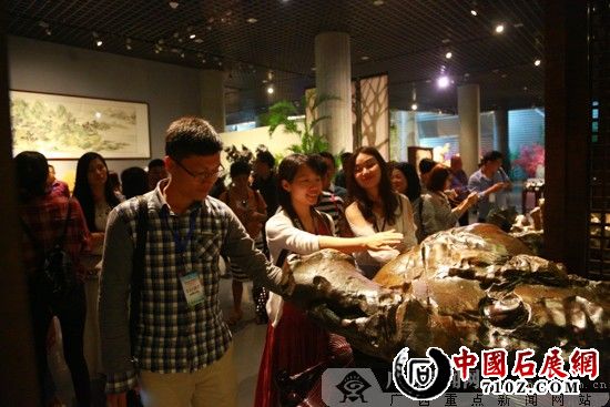 �ɷ��Ųι�������ʯ�� ������ʯ�Ļ�����ͼ��