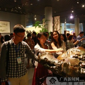 �ɷ��Ųι�������ʯ�� ������ʯ�Ļ�