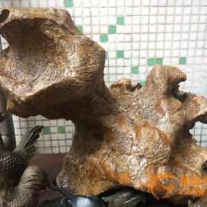 �¹��ǵ���ʯ��Ǯ��