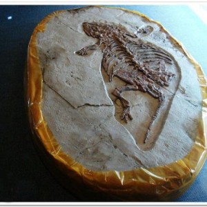 ũ���һ��ʯͷ��������Ȼ��5000�������ܻ�ʯ