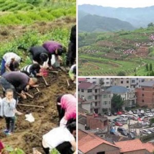 �㽭ɽ��ӿ����ǧ���ڡ��챦ʯ�� ���˿���������