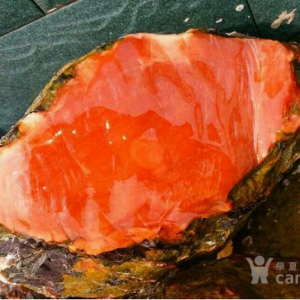 ���ģ����������Ϻ��ԭʯ�����ˣ���ҵ��ġ�