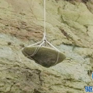 ����˹һú���ڳ����Ƿɵ���������ʯ�̡�