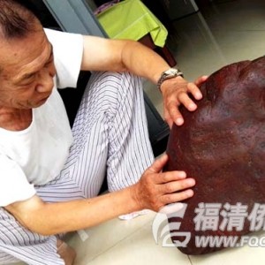 ���ȳ�С��һס������ص���ʯ���ɫ