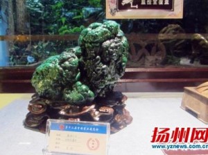 �й���ʯչ���ڽ������ݿ�Ļ 500�����ʯ������Լ������