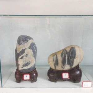 Ů�Ӽ�ʯͷ���Ϲ��ơ���Ů�ˡ� һ����ʯ������11��