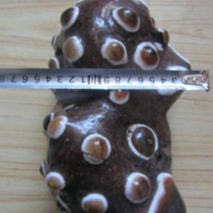 �����ں�����ˣʱ���ֳ������۾�����ʯͷ, ר�Ҽ������Ҷ���Ľ��