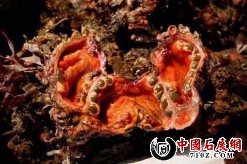 c88da35afaadf68683653ee4c73aaab2