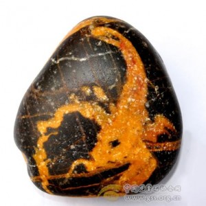 9����Ѱ�٣�3��෽��ʯ�������ڴӲݸ���Ϯ����ʯʥ