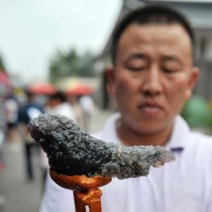 ��ʯ���� ��Ȥ����