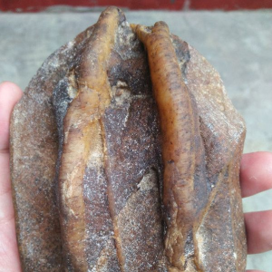 ũ��С��񵽡������񻯡���ʯ����ϴ�ɾ���˲���ֻ���