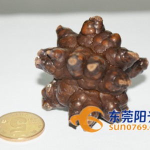 ��ݸ��Ѯ���̰���ȡ������ʯ�� �ȼ������� ��ҽ����������