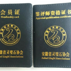 ����ʡ���ʯЭ�����ʯ����ίԱ����