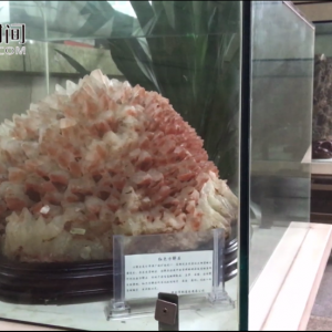 ����һ���վ������ʯ����� �˿ͣ���ǰһ��